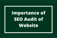 Importance of SEO Audit of Website